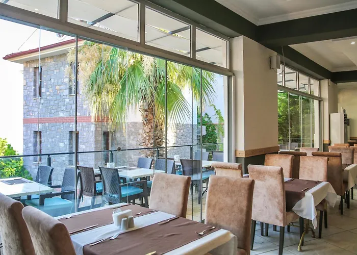 Tropical Deluxe 费特希耶