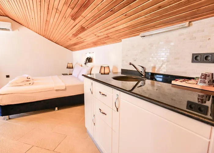 酒店 Tropical Deluxe